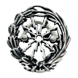 Insignia profesional...