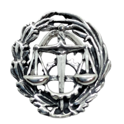 Insignia Profesional...