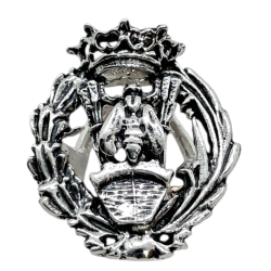 Insignia profesional...